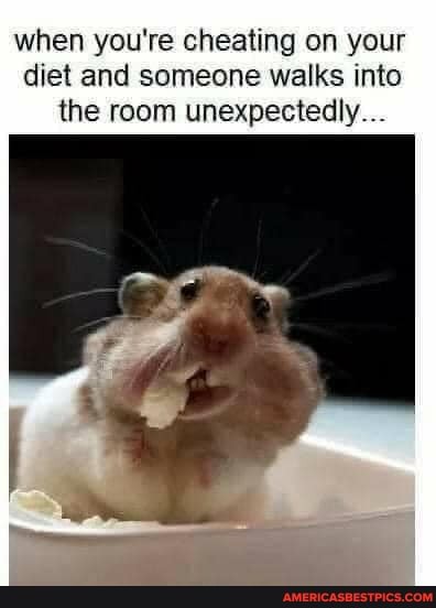when you're cheating on your diet and someone walks into the room unexpectedly...