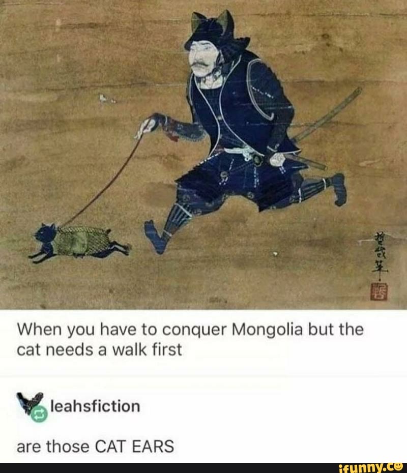 When you have to conquer Mongolia but the cat needs a walk first
leansfiction
are those CAT EARS