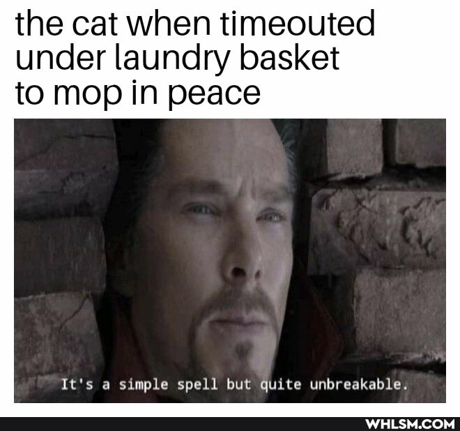 the cat when timeouted under laundry basket
to mop in peace
It's a simple spell but quite unbreakable.
