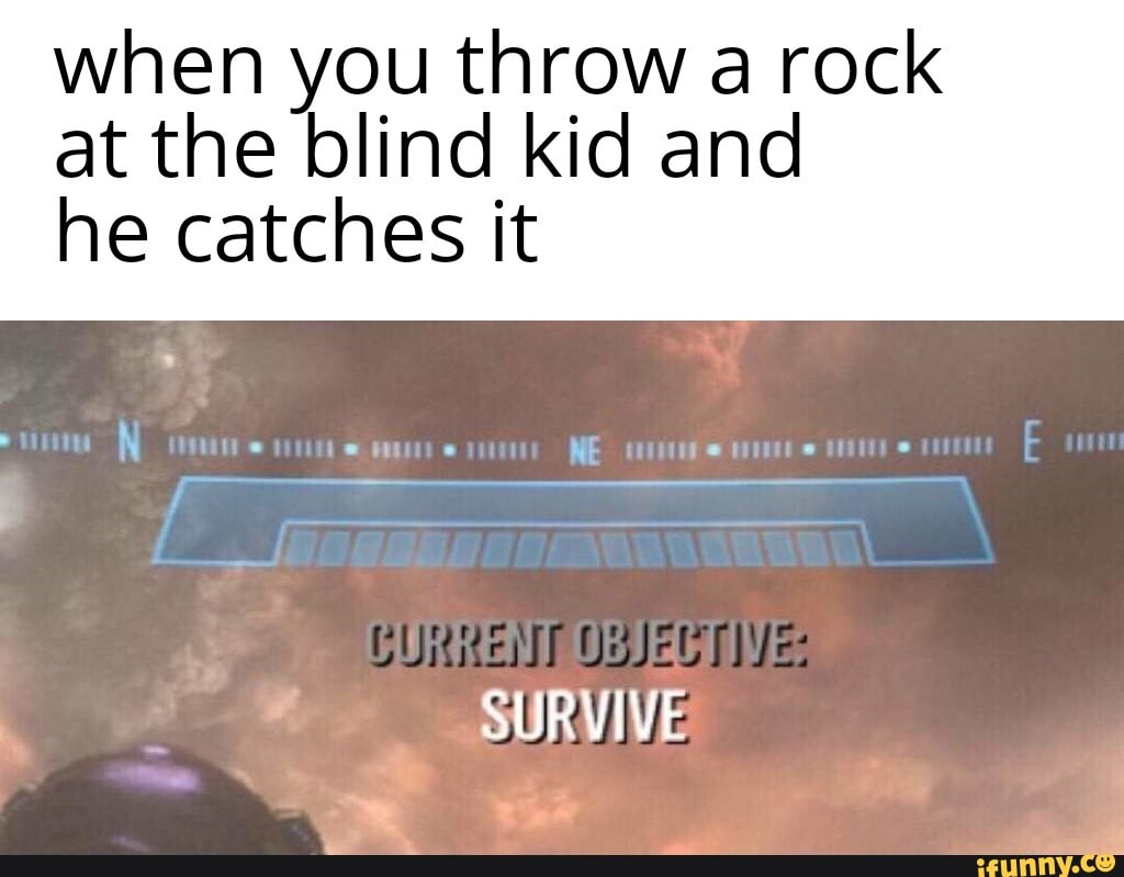 when you throw a rock at the blind kid and
he catches it
SURVIVE