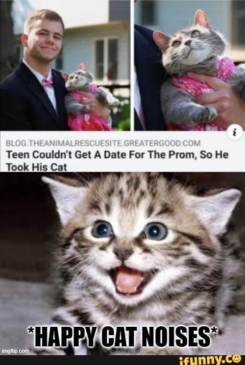 Teen Couldn't Get A Date For The Prom, So He
Took His Cat