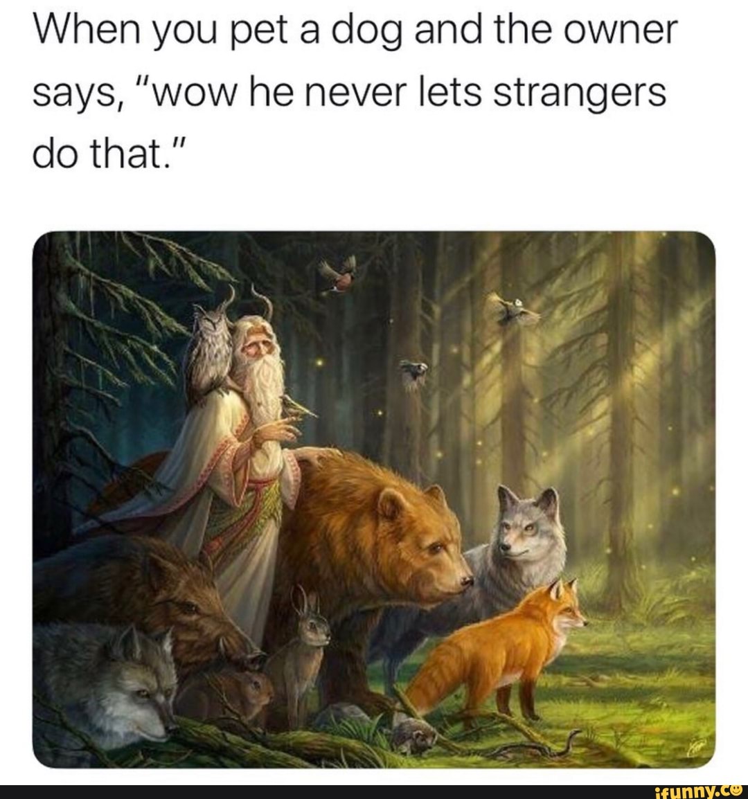 When you pet a dog and the owner
says, "wow he never lets strangers