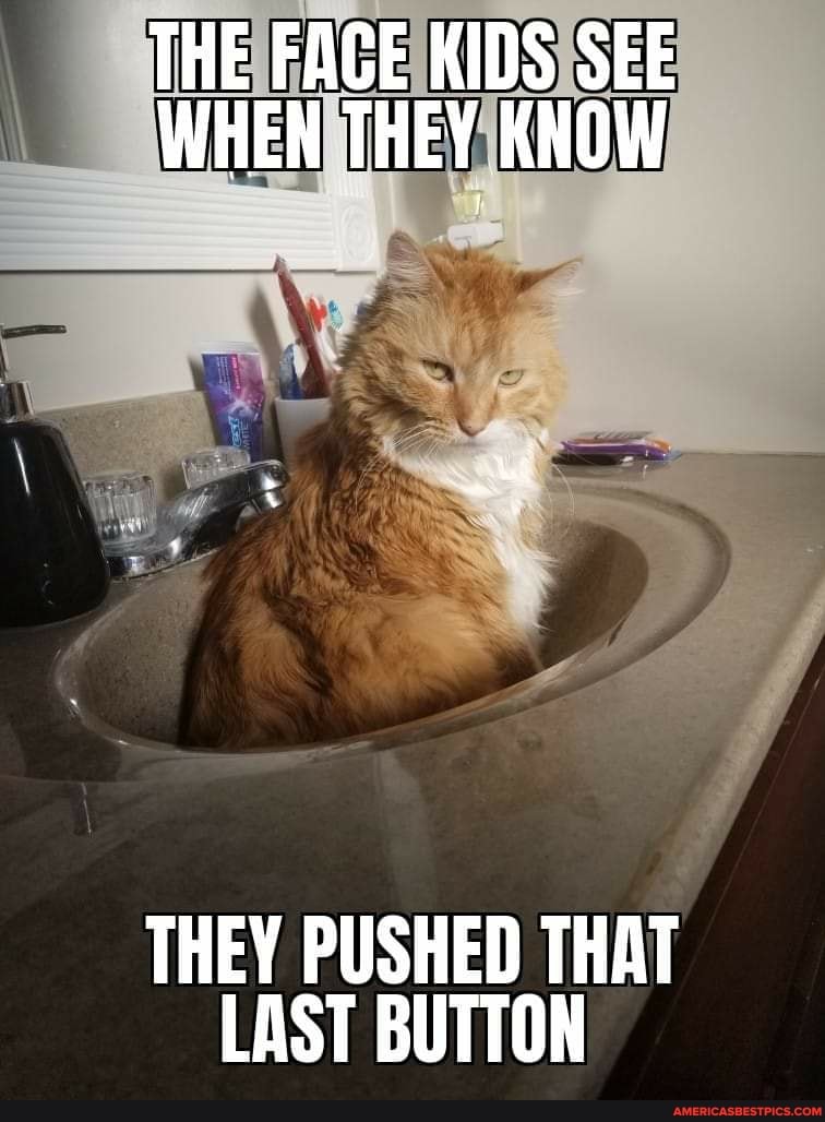 THE FACE KIDS SEE WHEN THEY KNOW
THEY PUSHED THAT LAST BUTTON