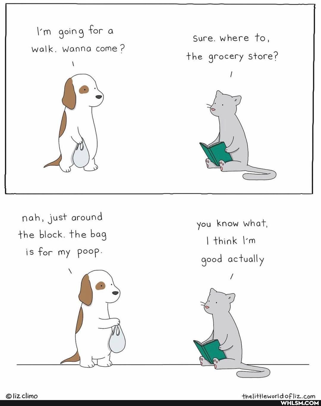 going for a
walk. Wanna come ?
nah, just around the block. the bag is for my poop.
Sure. where to, the grocery store?
you know what, think good actually