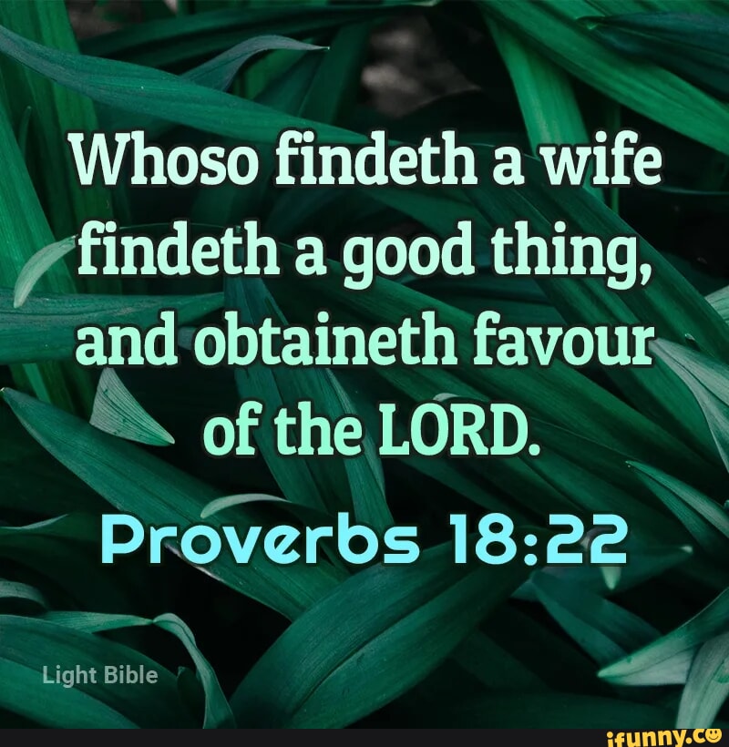 Whoso findeth a wife yfindeth good thing, and obtaineth favour. of the  LORD. Proverbs - Light Bible" Vf - iFunny