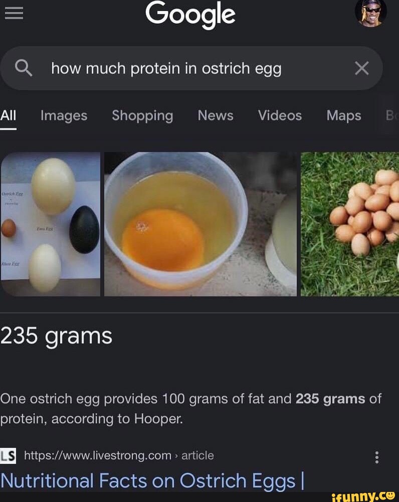 = Google Q__ how much protein in ostrich egg All Images Shopping News