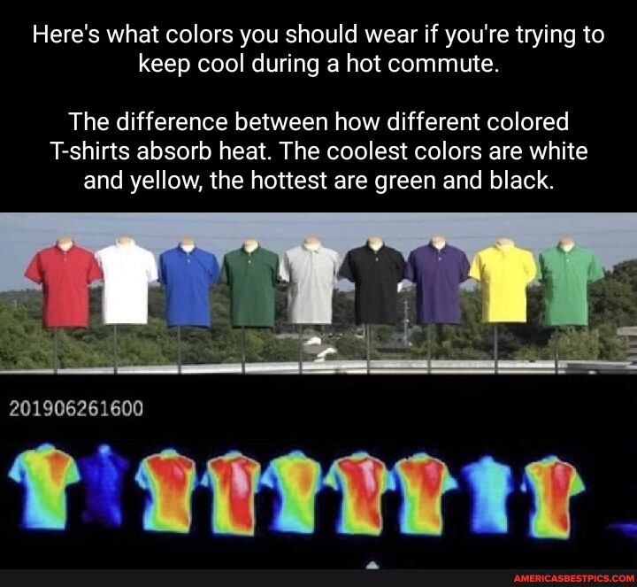 The difference between how different colored T-shirts absorb heat