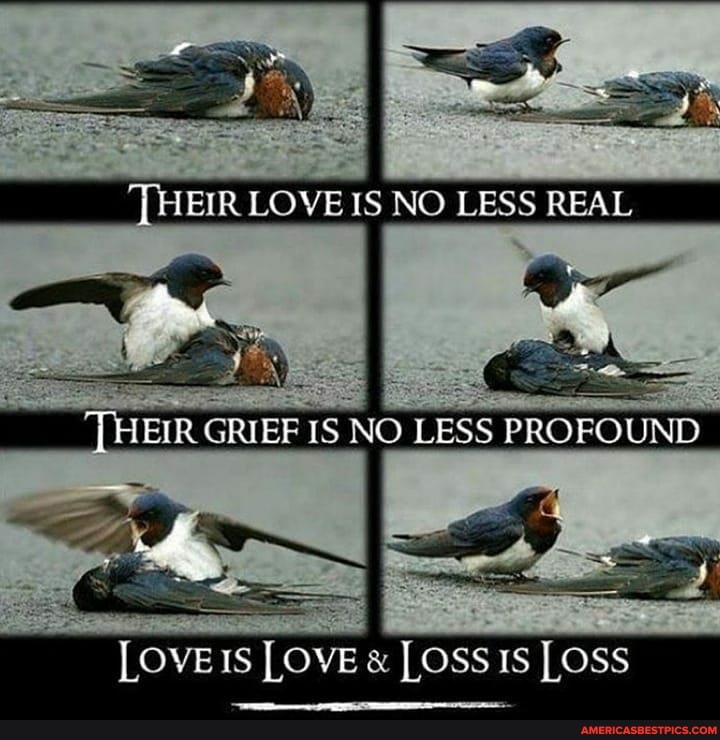 LOVE IS NO LESS REAL
THEIR GRIEF IS NO LESS PROFOUND
LOVE Is LOVE & LOSS IS LOSS