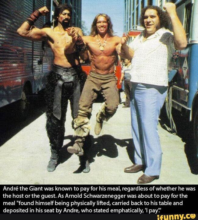 Andrethegiant memes. Best Collection of funny Andrethegiant pictures on  iFunny
