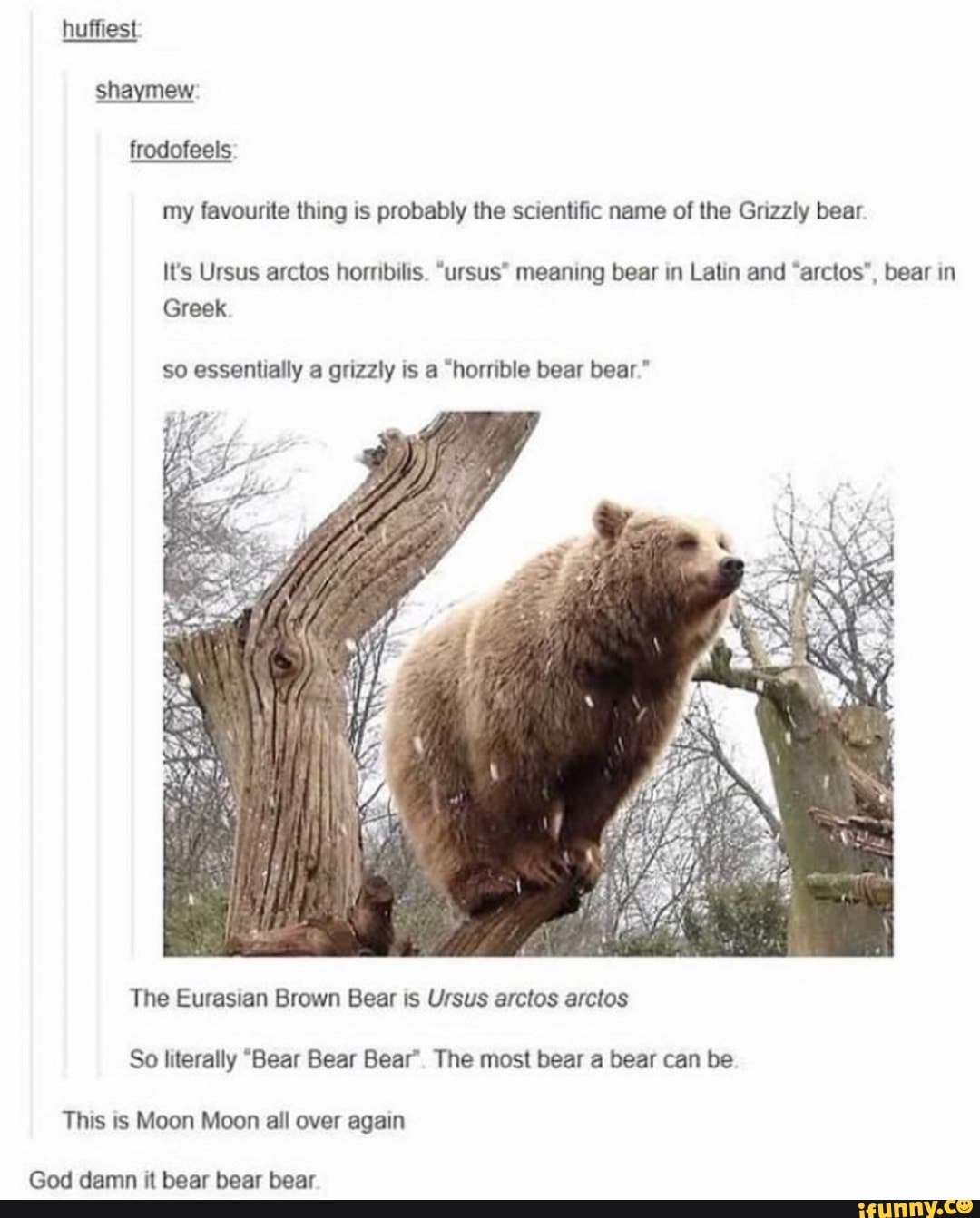 Бурый медведь на английском языке. Could bear it. To bear перевод. Could bear it. Could bear it.