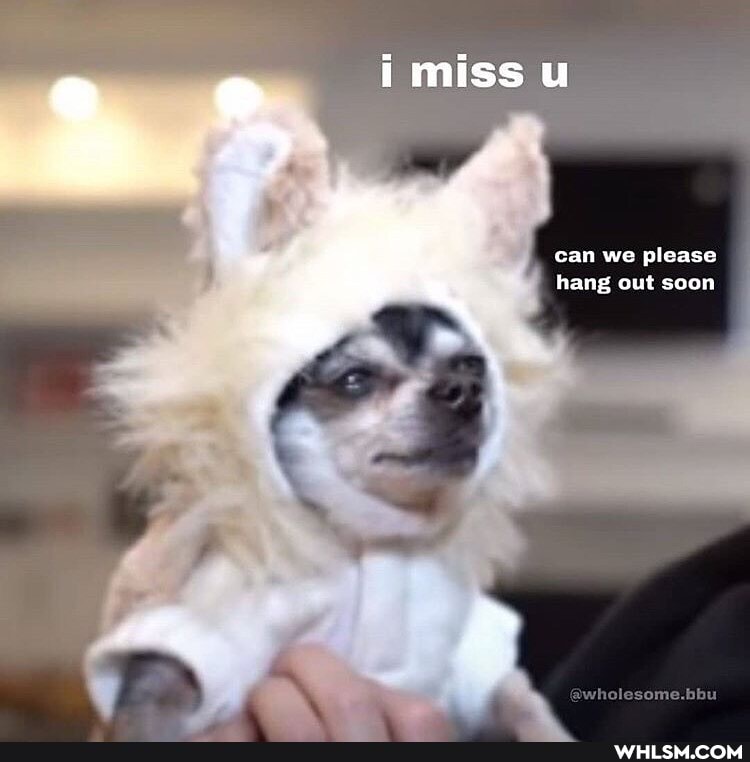miss
can we please hang out soon