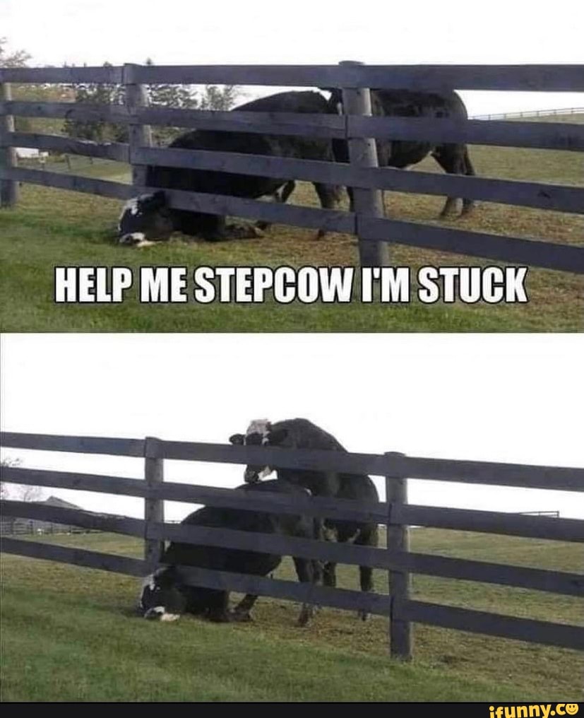 Help me stepcow I'M stuck.