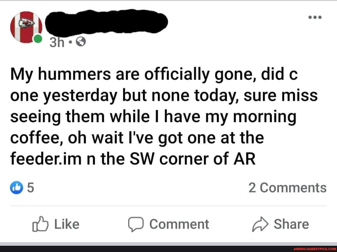 My hummers are officially gone, did c one yesterday but none today, sure miss seeing them while I have my morning coffee, oh wait I've got one at the feeder.im n the SW corner of AR
2 Comments
Like Comment Share