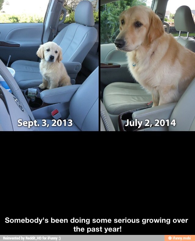 Somebody's been doing some serious growing over
the past year!