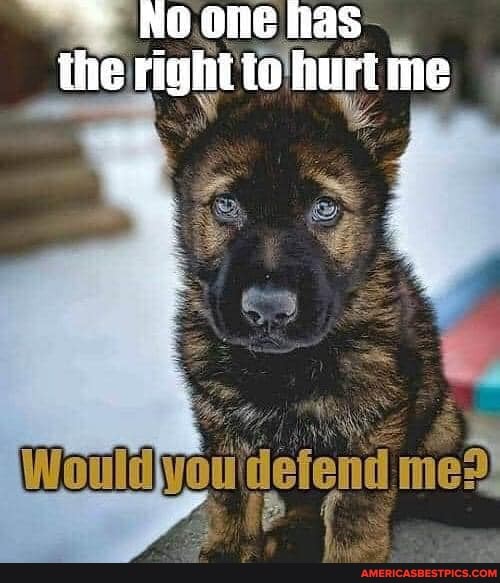 'NO. one has the right tolhurt me
Woutiyeuidefond med)