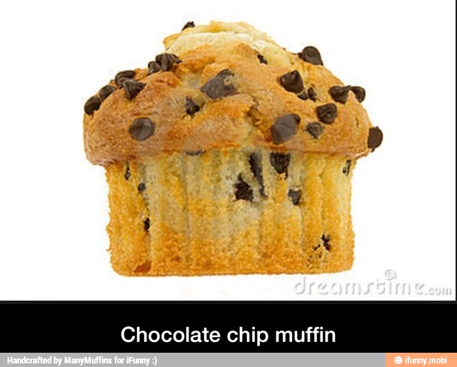 Chocolate chip muffin - Chocolate chip muffin