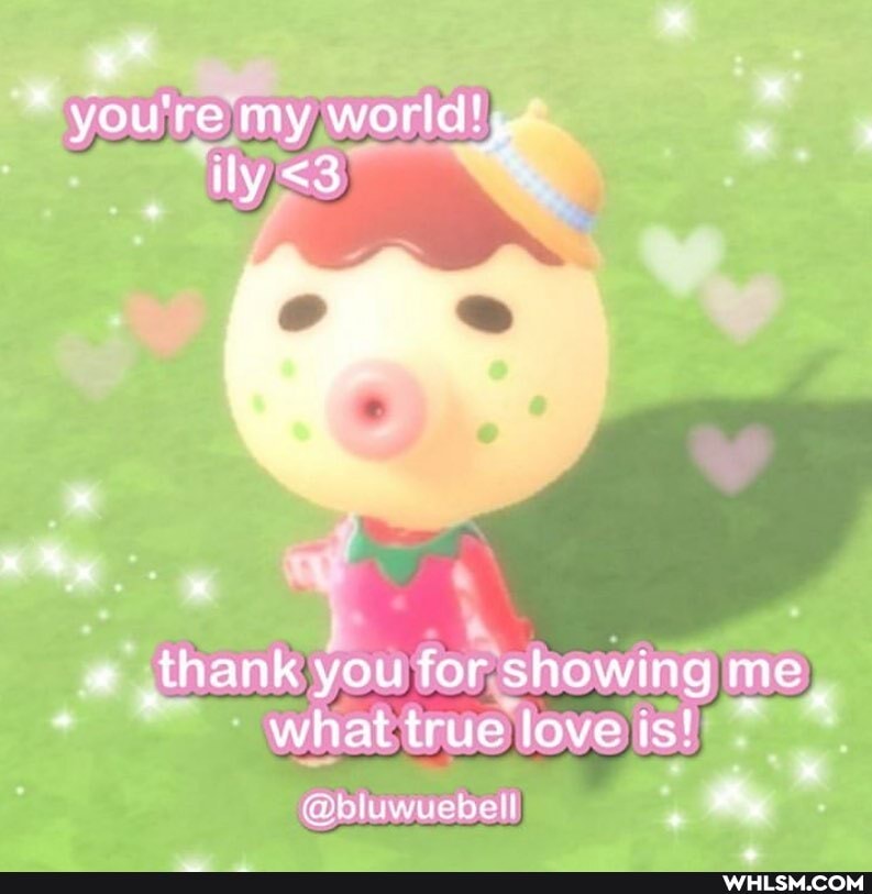 you're my wortd! ly <3
a My,
thank you for showing me what true love is!
. "
a bluwuebell