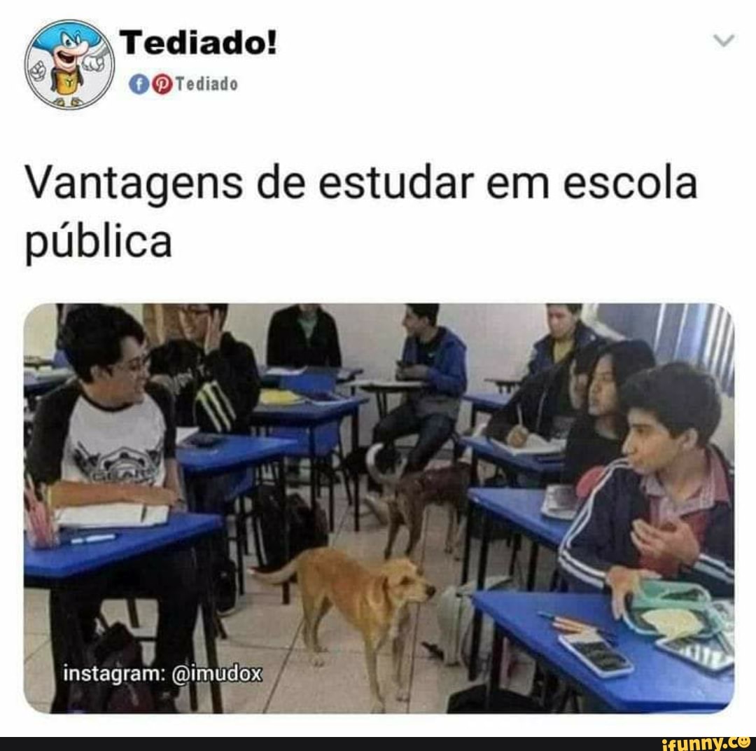 Tediado!
OOTediado
Vantagens de estudar em escola pública
AS.
instagram: