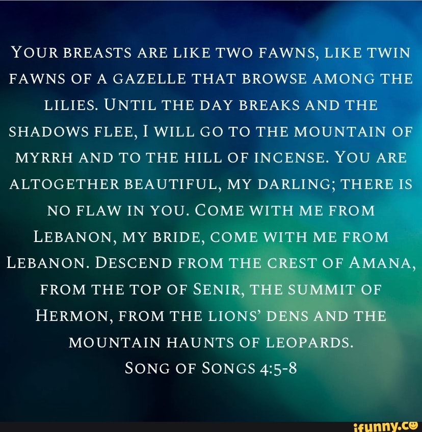 your-breasts-are-like-two-fawns-like-twin-fawns-of-a-gazelle-that