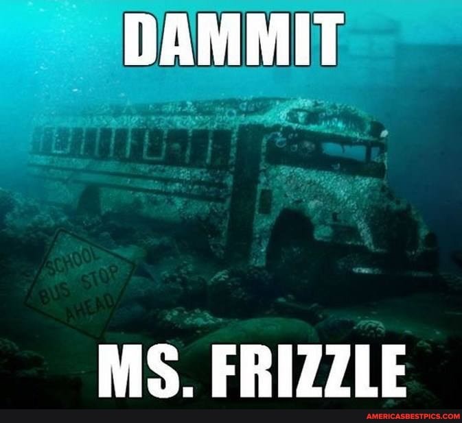 DAMMIT
MS FRIZZLE