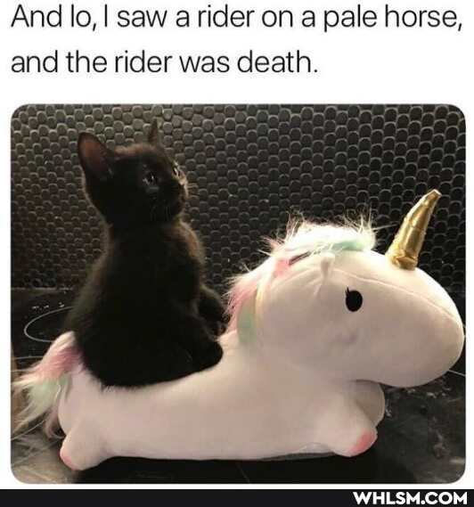 And lo, I saw a rider on a pale horse,
and the rider was death.