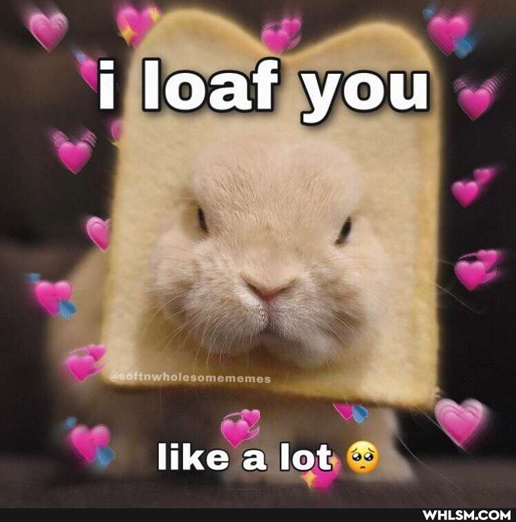 loaf you
like lot