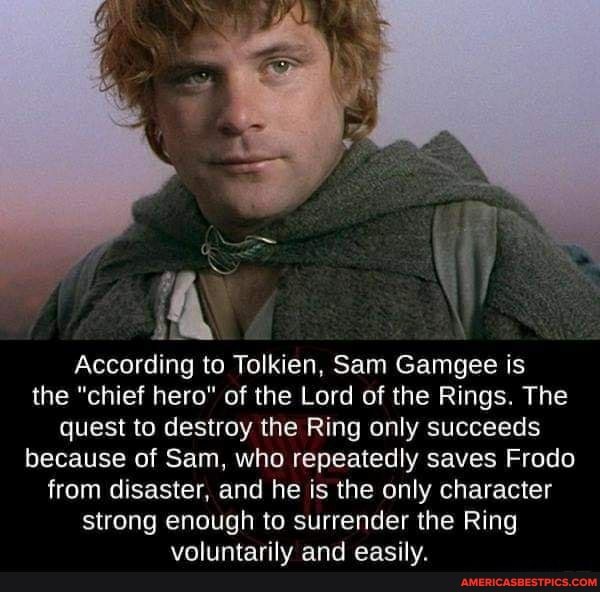 lord of rings hero