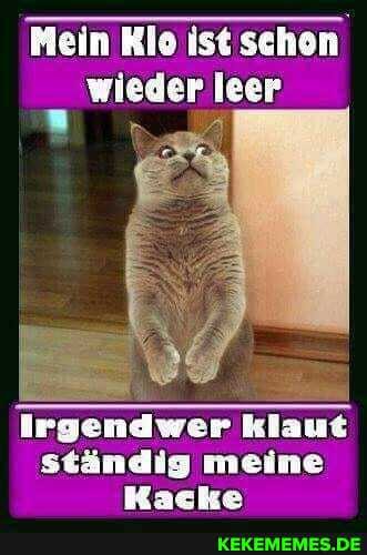 Mein Klo ist schon wieder leer
Irgendwer klaut stÀndig meine
Kaeke