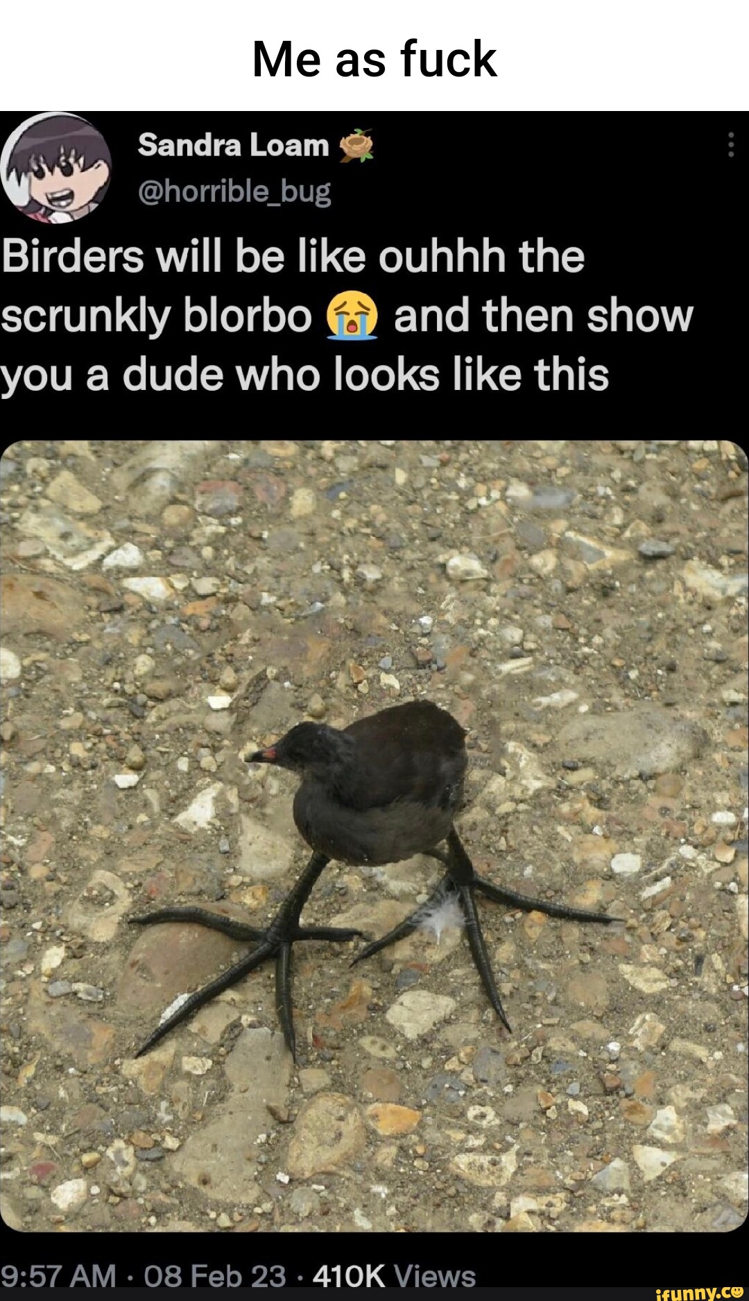 Blorbo Memes. Best Collection Of Funny Blorbo Pictures On IFunny