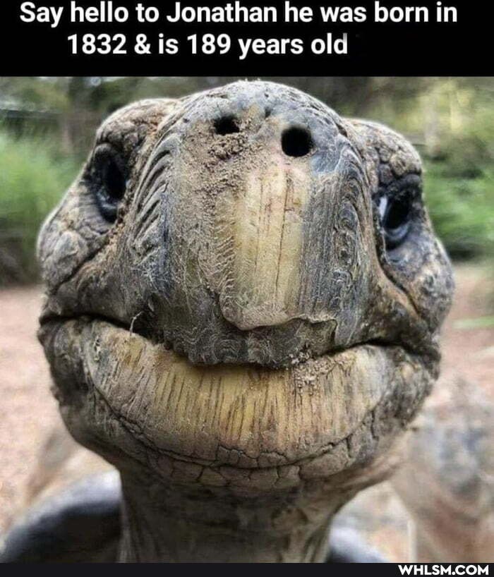 Say hello to Jonathan he was born in
1832 & is 189 years old