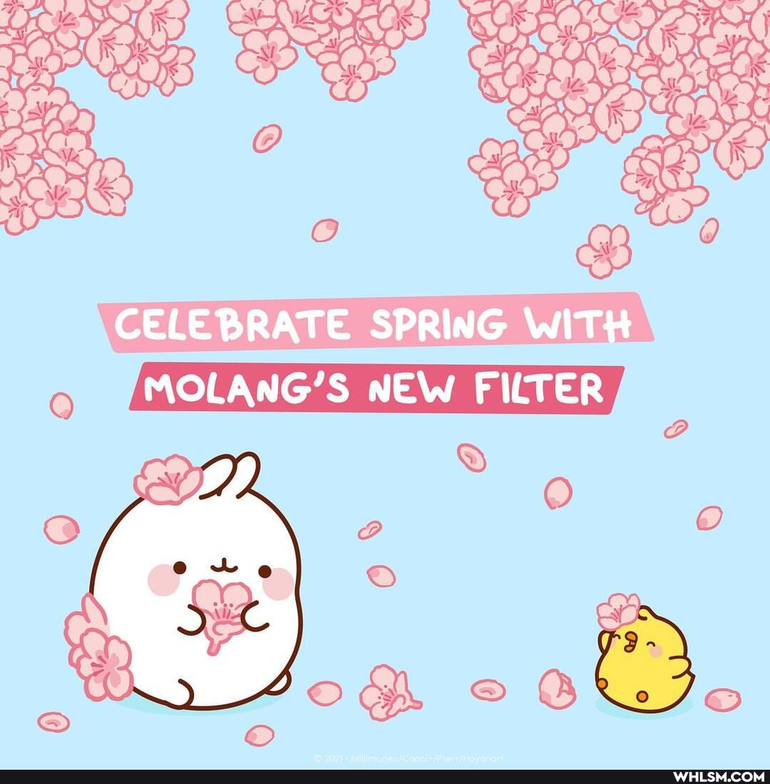 CELEBRATE SPRING WITH MOLANG'S NEW FILTER