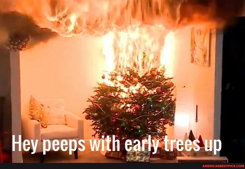 at
reg
Hey peeps with early trees up