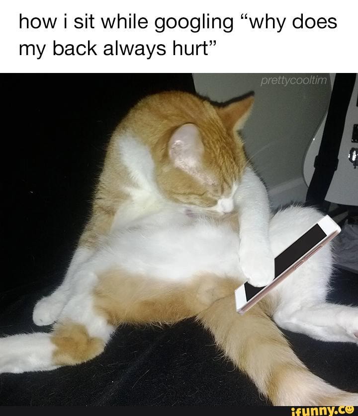 How sit while googling "why does my back always hurt" iFunny