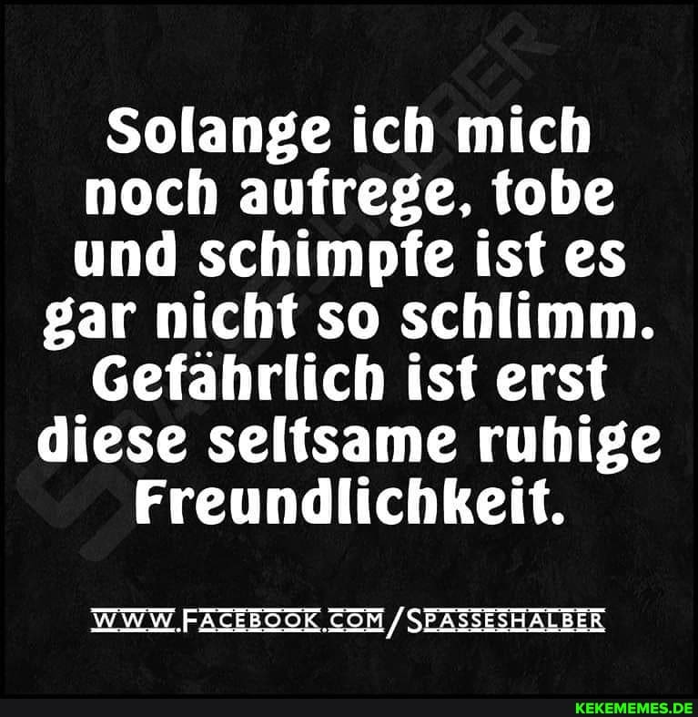 Solange ich mich noch aufrege, tobe und schimpfe ist es
gar nicht so schlimm.
Gefährlich ist erst
diese seltsame ruhige
Freundlichkeit.
WWW. .FACEBOOK /SEASSESHALBER