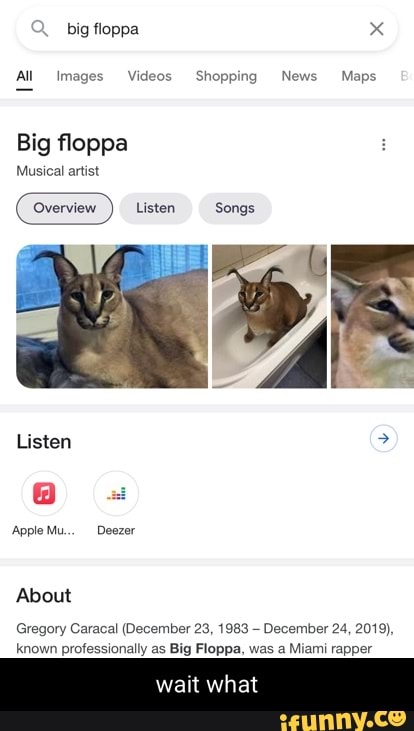 big floppa x
All Images Videos Shopping +News Maps
Big floppa
Musical artist
Listen Songs
Listen
Apple Mu... Deezer
About
Gregory Caracal (December 23, 1983 - December 24, 2019), known professionally as Big Floppa, was a Miami rapper
wait what