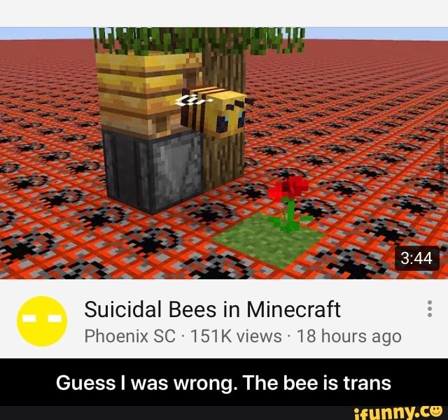 Suicidal Bees in Minecraft Phoenix SC-151Kviews-18 ho rs ago Guess I ...