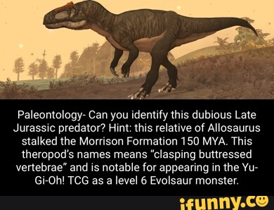 Paleontology- Can you identify this dubious Late Jurassic predator ...