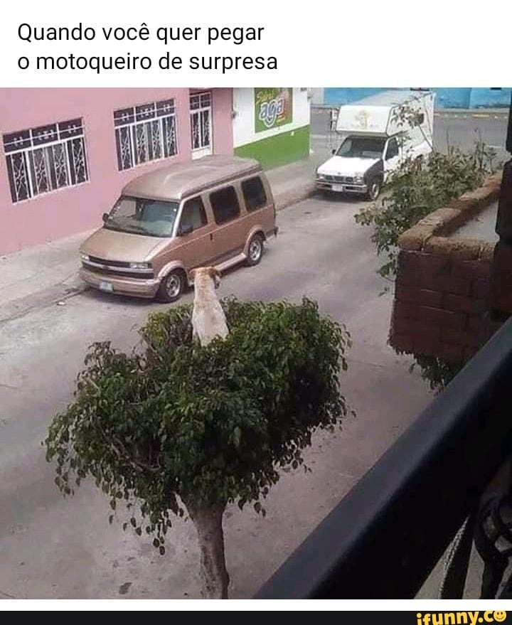 Quando você quer pegar motoqueiro de surpresa