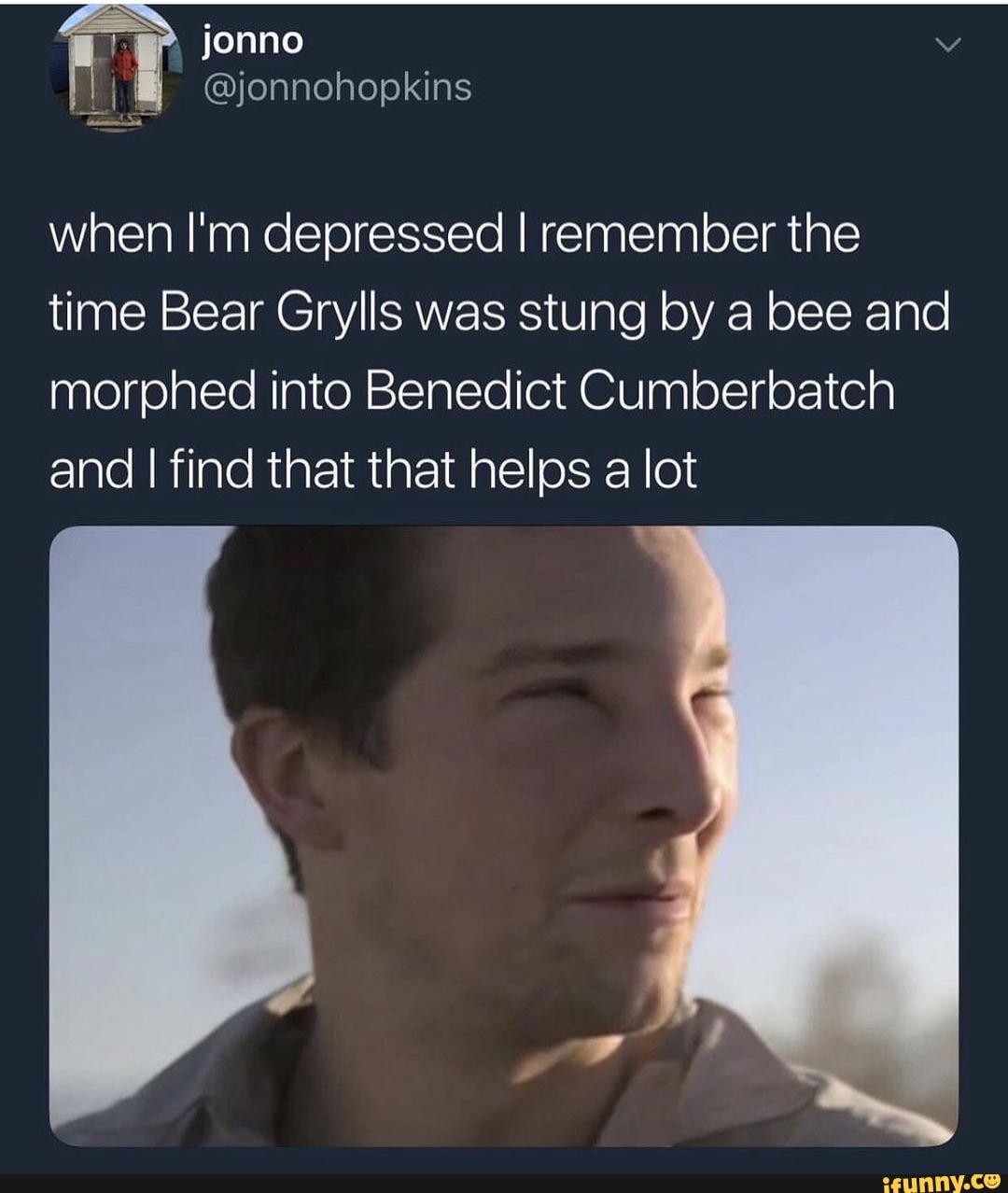 Bear grylls bee sting meme