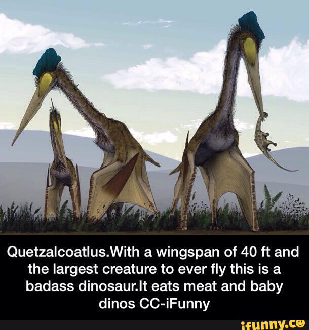 Quetzalcoatlus.With a wingspan of 40 ft and the largest creature to ...