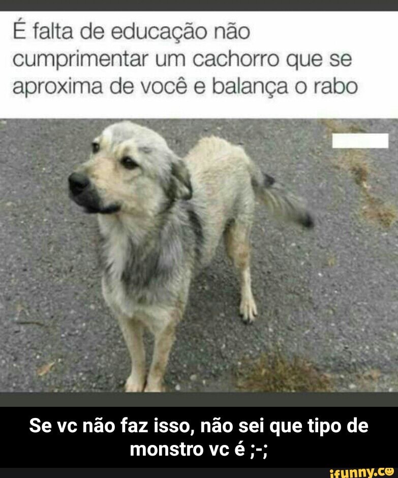 É falta de educação não
cumprimentar um cachorro que se
aproxima de você e balança o rabo
Se vc não faz isso, não sei que tipo de - Se vc não faz isso, não sei que tipo de monstro vc é ;-;