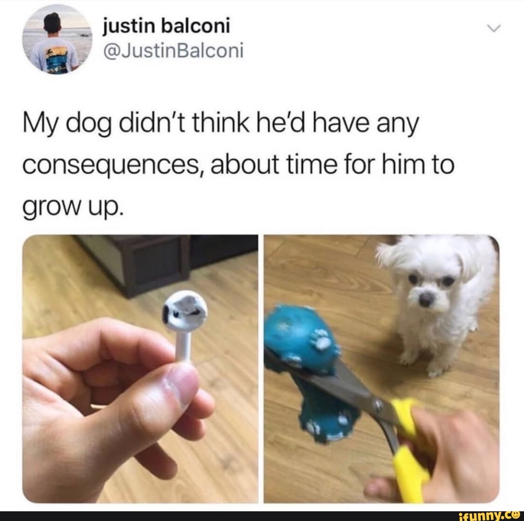 justin balconi
@dJustinBalconi
My dog didn't think he'd have any consequences, about time for him to grow up.