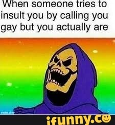 When someone tries to insult you by calling you gay but you actually are