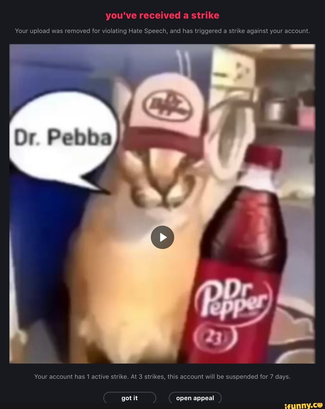 Pebba memes. Best Collection of funny Pebba pictures on iFunny Brazil