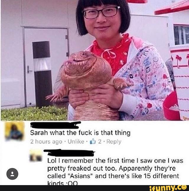 . Sarah what the fuck is that thing
Lol I remember the first time I saw one I was
pretty freaked out mo. Apparently they're
called "Asians" and there's like 15 different
kind: -nn