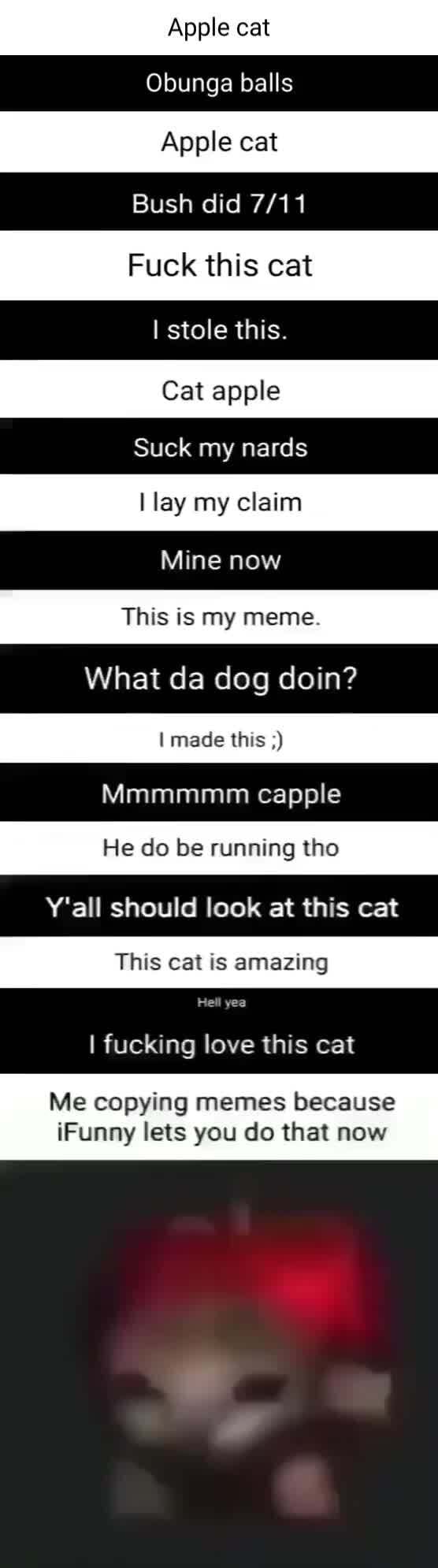 Apple Cat Obunga Balls Apple Cat Bush Did Fuck This Cat I Stole This Cat Apple Suck My Nerds Lay My Claim Mine Now This Is My Meme What Da Dog Doin
