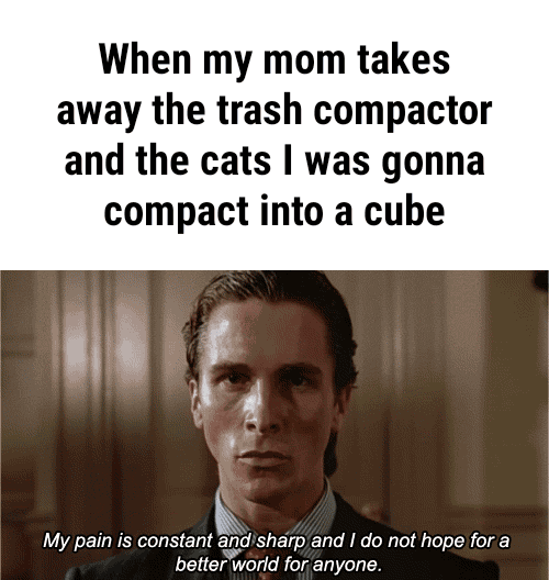 When my mom takes away the trash compactor and the cats I was gonna