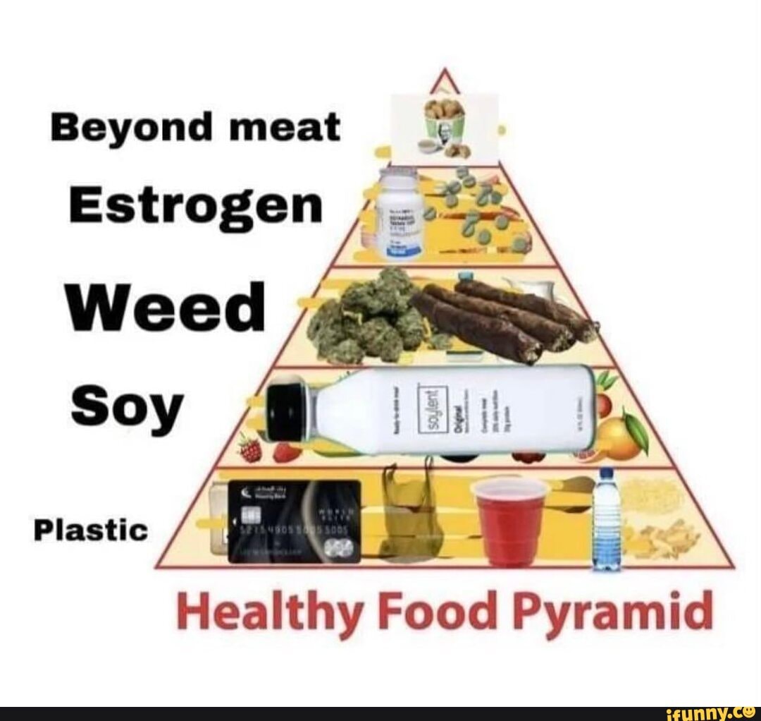 Beyond meat Estrogen Plastic = Healthy Food Pyramid iFunny