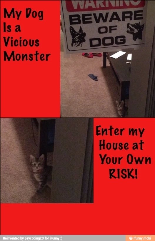 House at
Your Own
RISK!