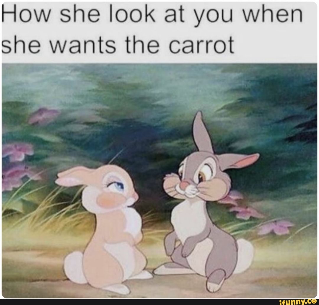 How she look at you when
She wants the carrot
E